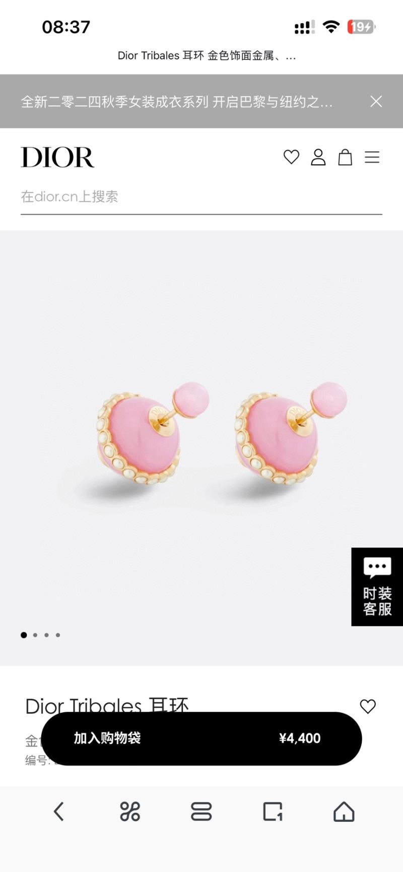 Christian Dior Earrings